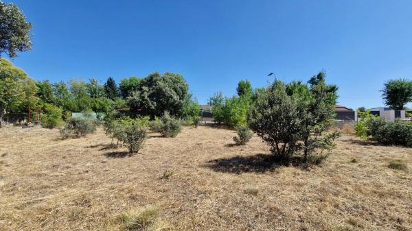 Terreno en avenida De Roma, 70