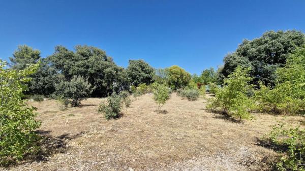 Terreno en avenida De Roma, 70