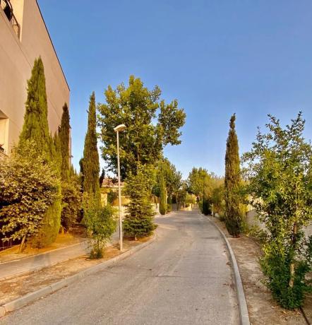 Terreno en calle Musas, 29