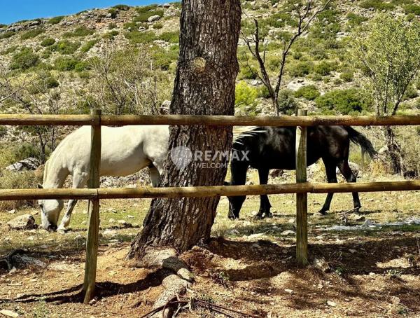 Terreno en calle del Calvario