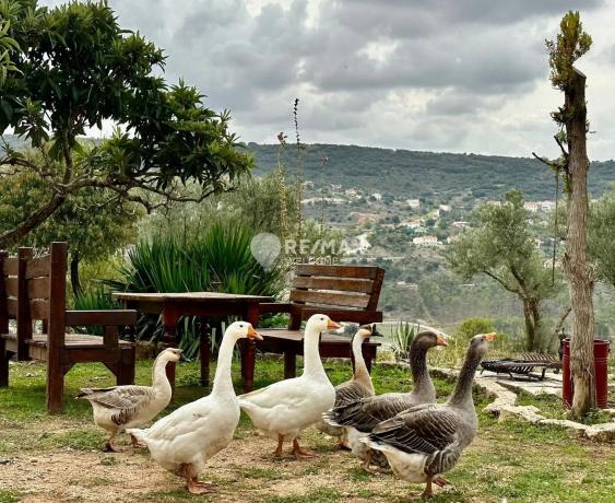 Terreno en calle del Calvario