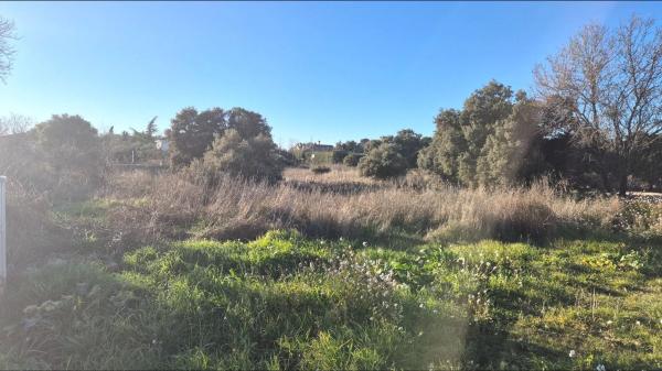 Terreno en ronda Hispano-Americana, 229 -223