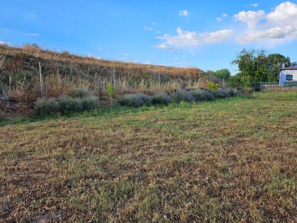 Terreno en m-320 s/n