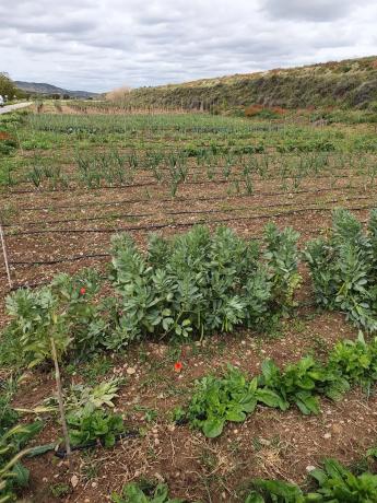 Terreno en m-320 s/n