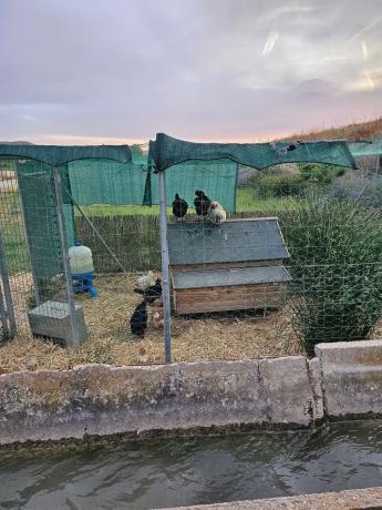 Terreno en m-320 s/n