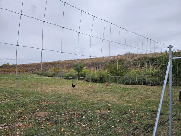 Terreno en m-320 s/n