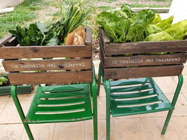 Terreno en m-320 s/n