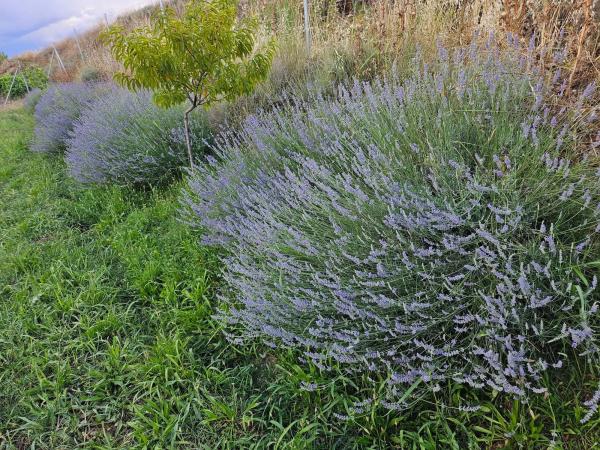 Terreno en m-320 s/n