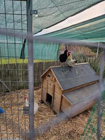 Terreno en m-320 s/n