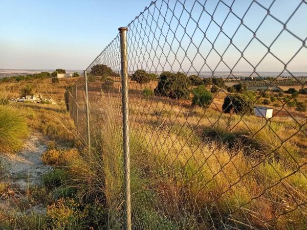 Terreno en calle Río Jarama, 1
