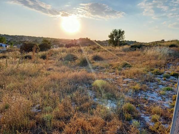 Terreno en calle Río Jarama, 1