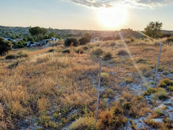Terreno en calle Río Jarama, 1