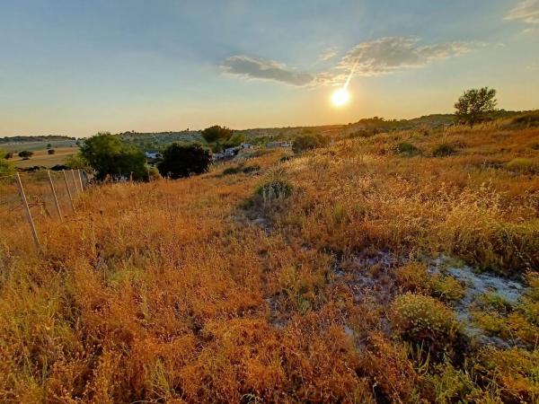Terreno en calle Río Jarama, 1
