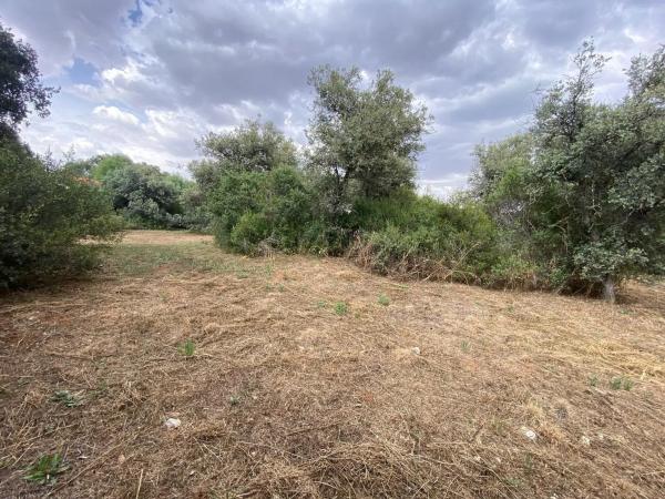 Terreno en avenida París, 76