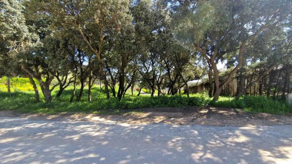 Terreno en avenida Quintanar, 17