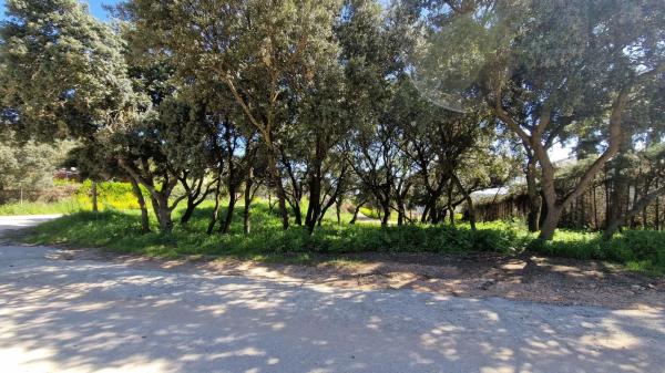 Terreno en avenida Quintanar, 17