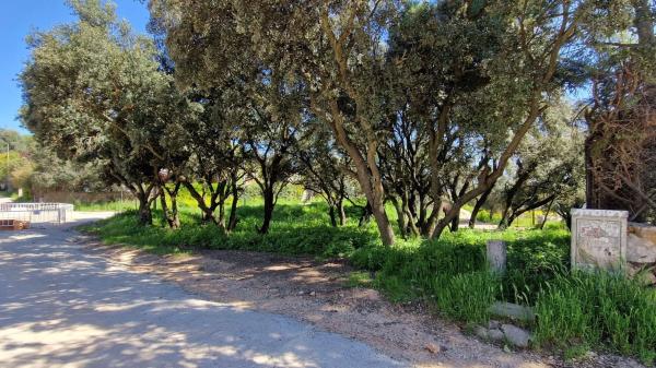 Terreno en avenida Quintanar, 17