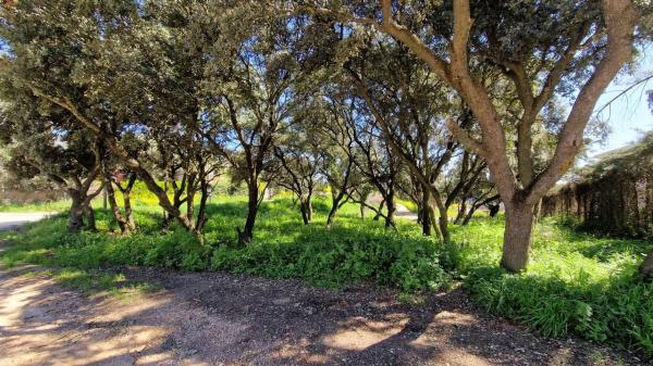 Terreno en avenida Quintanar, 17