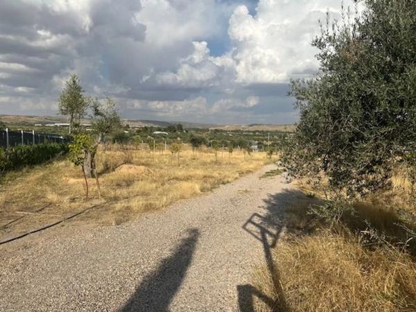 Terreno en carretera 313