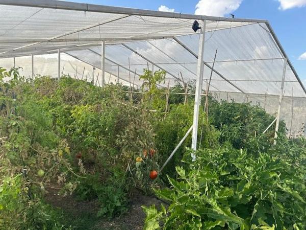 Terreno en carretera 313