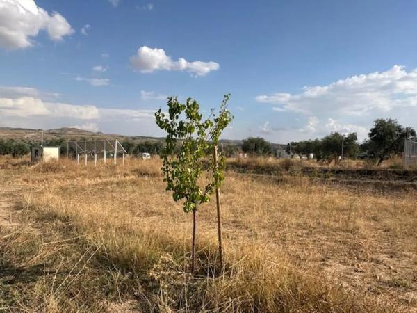Terreno en carretera 313