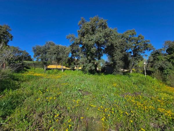 Terreno en ronda de Manchester