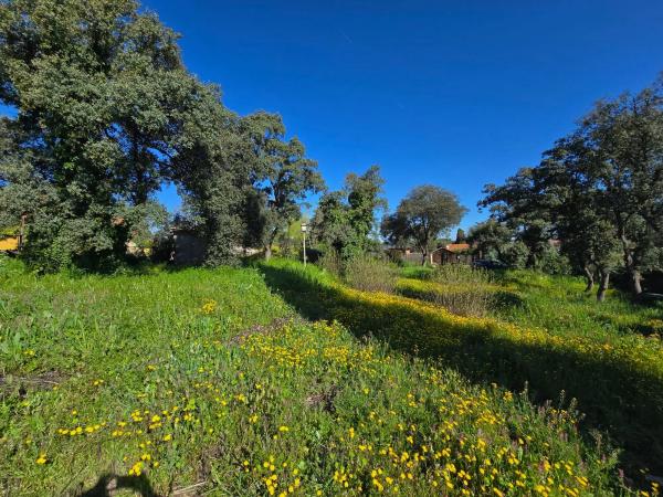 Terreno en ronda de Manchester