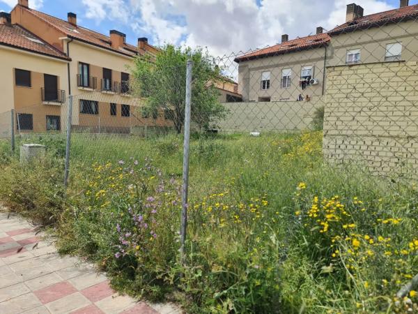 Terreno en calle la Paloma