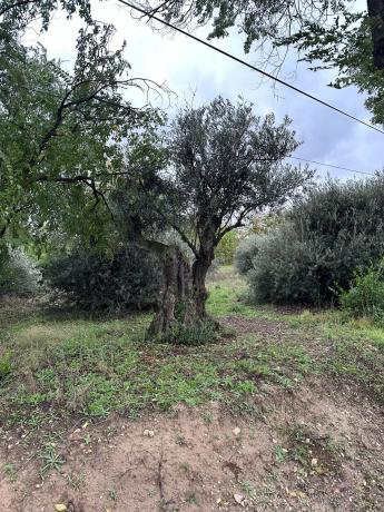 Terreno en carretera a perales, 301