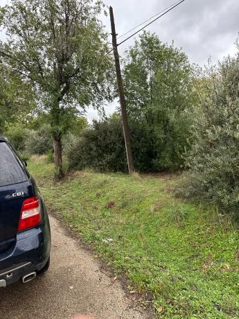 Terreno en carretera a perales, 301
