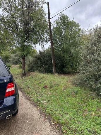 Terreno en carretera a perales, 301