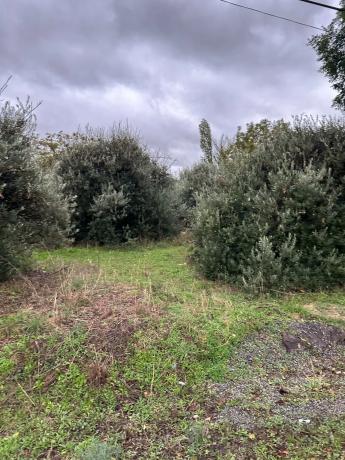 Terreno en carretera a perales, 301