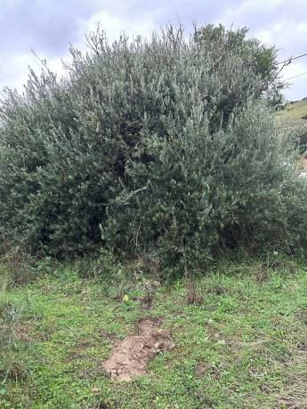 Terreno en carretera a perales, 301