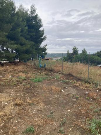 Terreno en calle Triana, 13