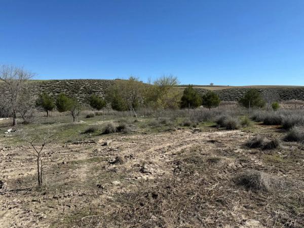 Terreno en Urbanizacion Alarilla