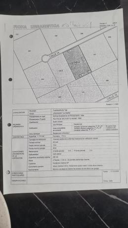 Terreno en calle Catorce, 14