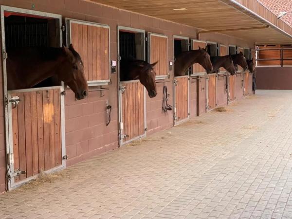 Terreno en camino Aguachares