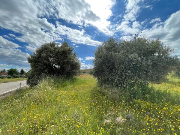 Terreno en M-313, km 14