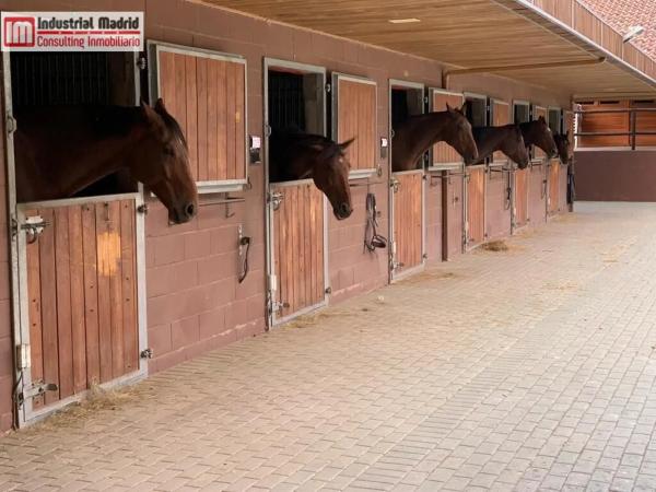 Terreno en camino Aguachares