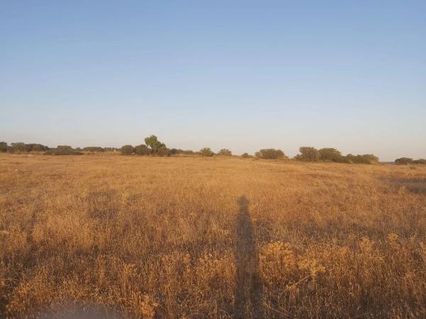 Terreno en camino de Carabaña s/n