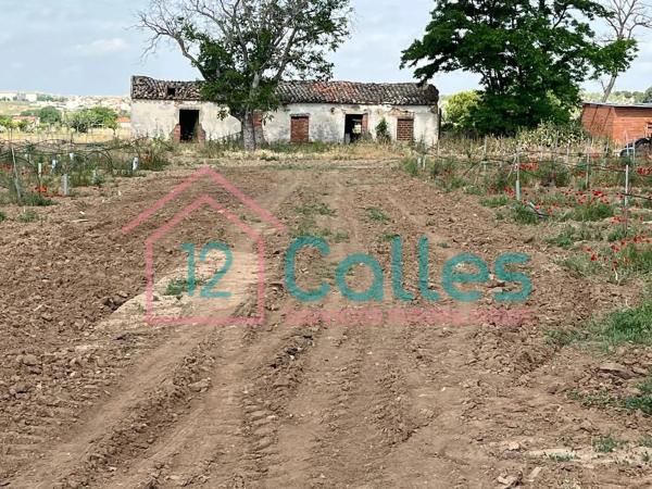 Terreno en calle Ojalvo