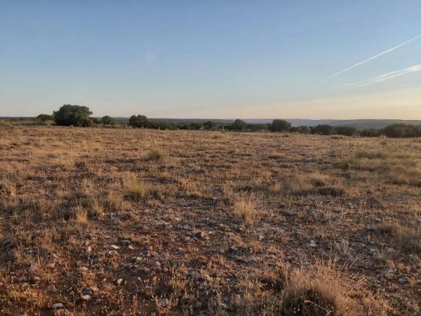 Terreno en camino de Carabaña s/n