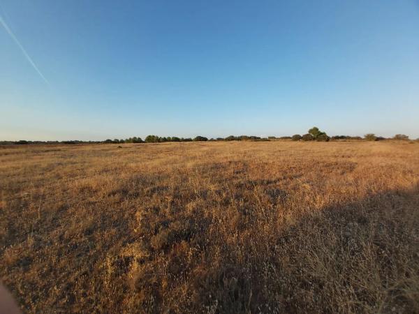 Terreno en camino de Carabaña s/n