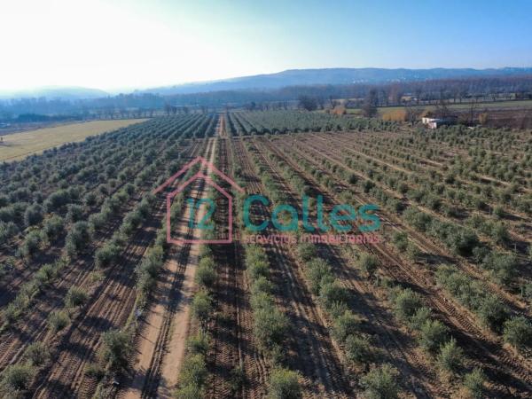 Terreno en calle Ojalvo