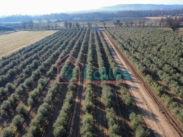 Terreno en calle Ojalvo