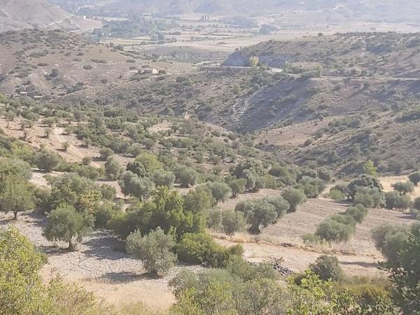 Terreno en calle Buenavista s/n