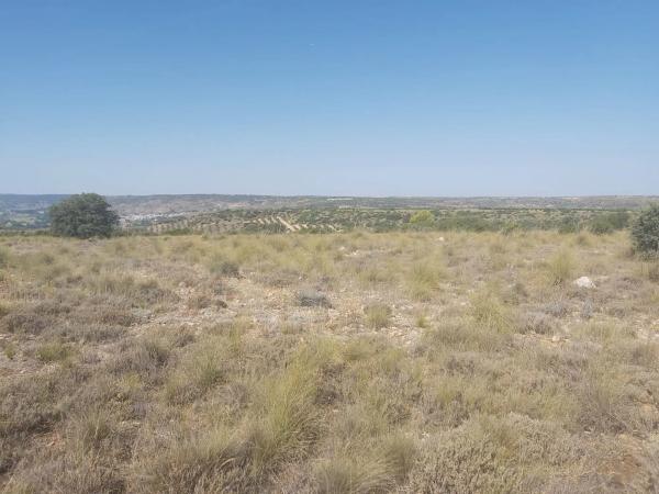 Terreno en camino Diseminado s/n