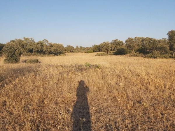 Terreno en Camino s/n