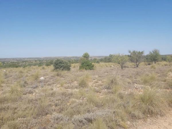 Terreno en camino Diseminado s/n