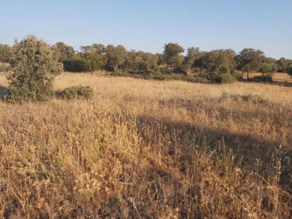 Terreno en Camino s/n